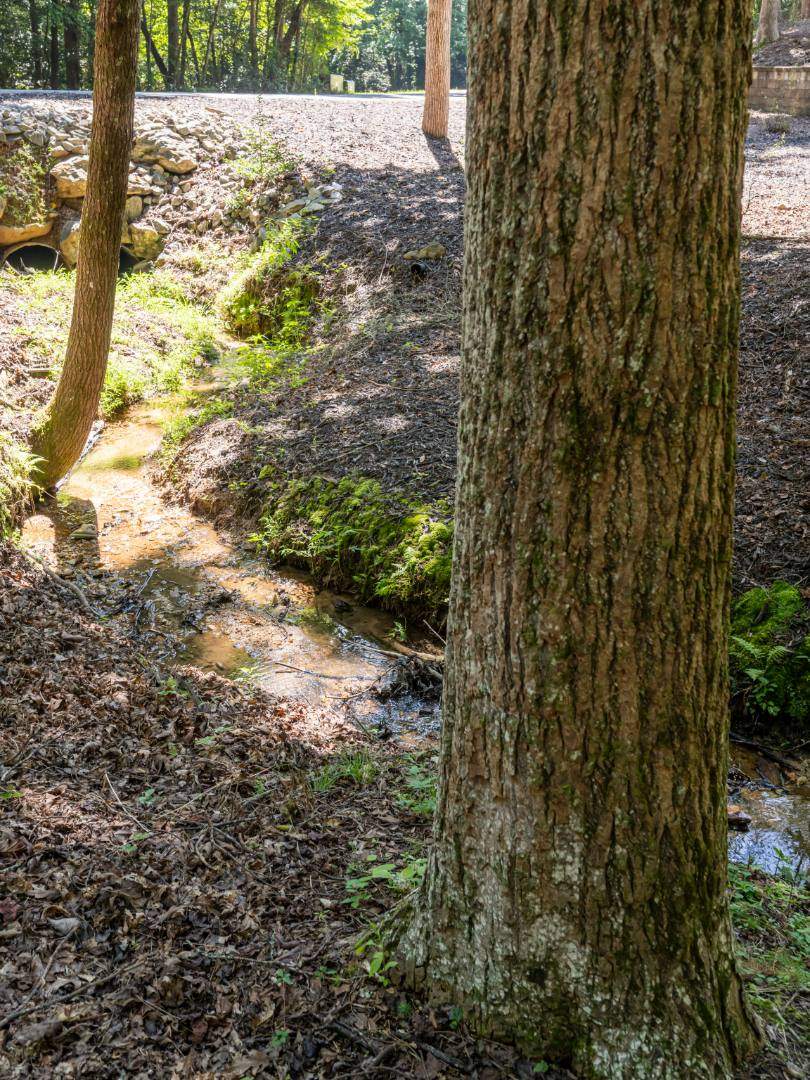273-Cross-Creek-Dr-Marion-NC-58-810x1080