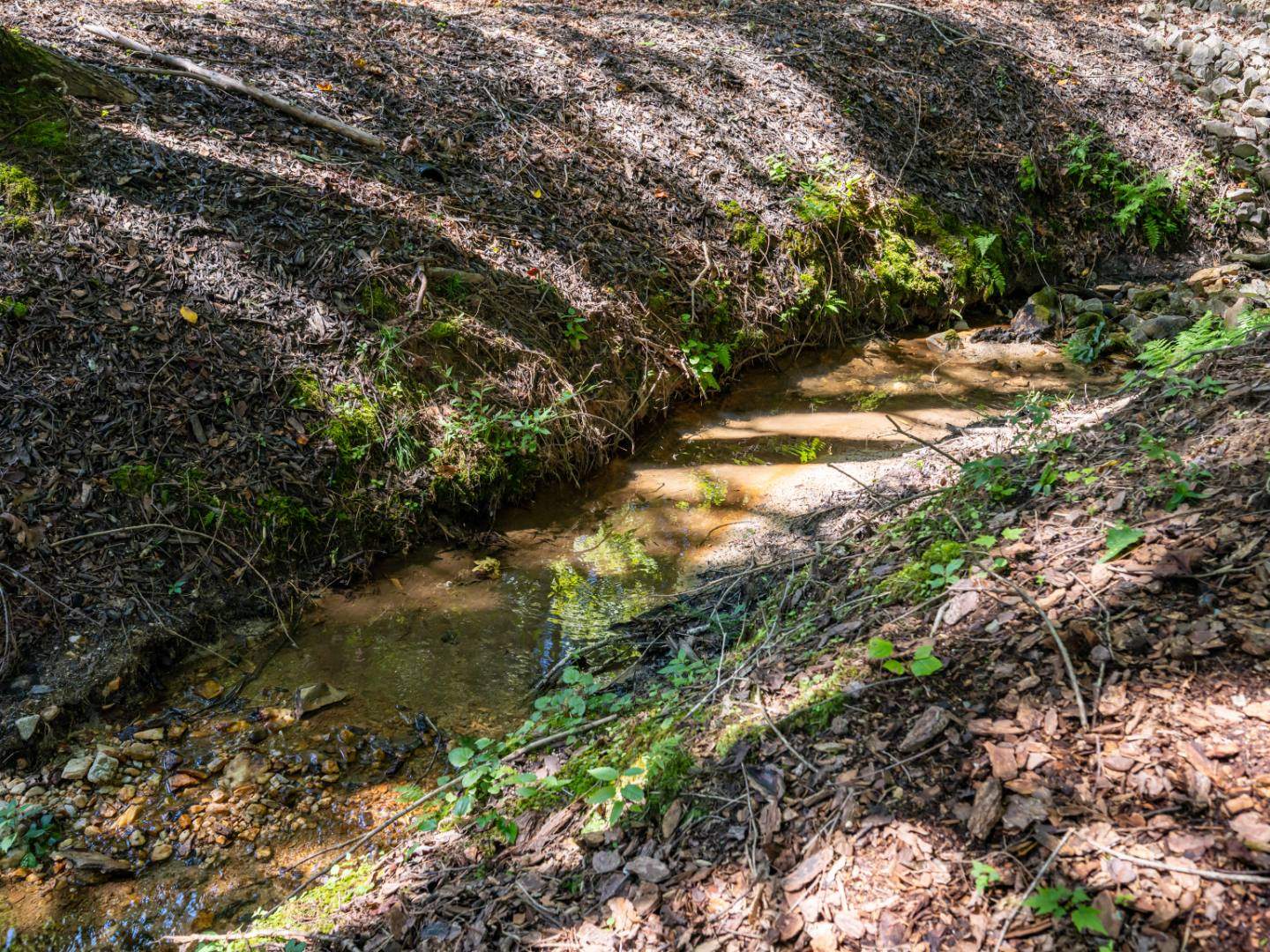 273-Cross-Creek-Dr-Marion-NC-59-1440x1080