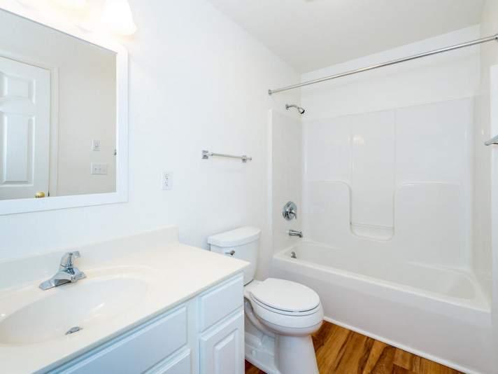 45_W_Cotton_Ave_Black_Mountain-027-34-Lower_Level__Bathroom-MLS_Size