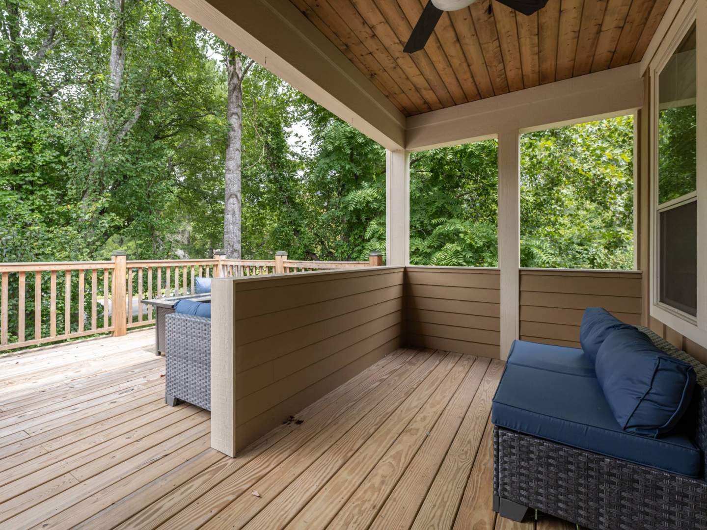 554-Sweet-Birch-Black-Mtn-NC-44-1920x1440