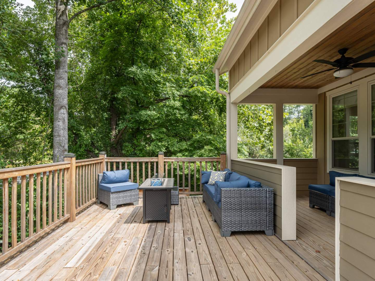 554-Sweet-Birch-Black-Mtn-NC-47-1920x1440