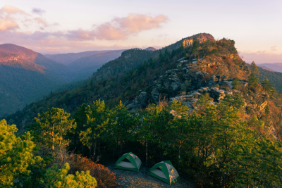 Burke County NC Real Estate: Houses for Sale & School District Info