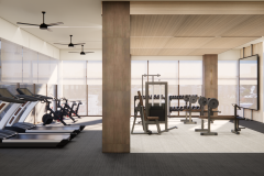 Fitness-1