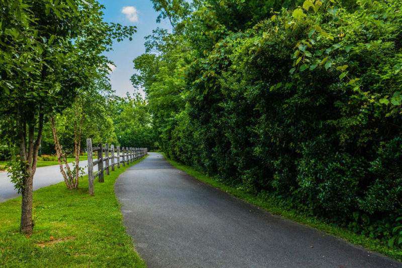 Homes for Sale in Cotton Creek – Black Mountain NC