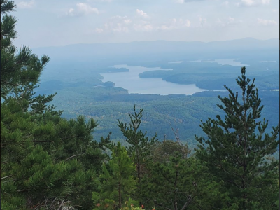 Waterglyn Homes for Sale (Lake James)