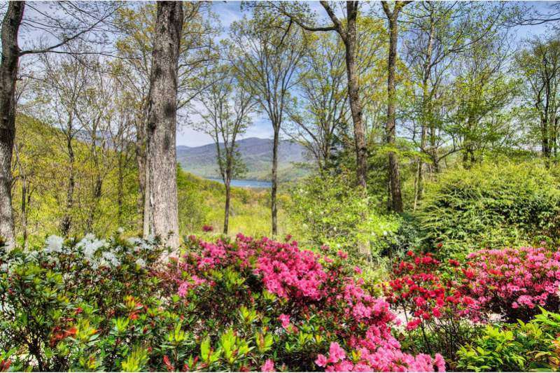 Laurel Ridge NC Homes for Sale