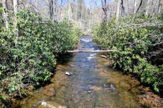 Homes for Sale in Mills River NC