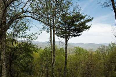 Town Mountain Homes for Sale