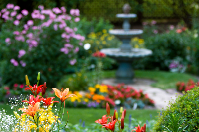 Albemarle Park Homes for Sale