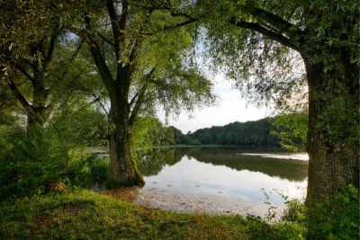 Beaver Lake Heights Homes for Sale