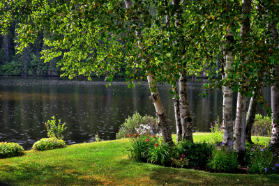 Crowfields Condos for Sale in Asheville NC