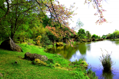 Lakeview Estates Homes for Sale