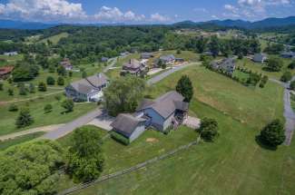 Homes for Sale in Leicester, NC