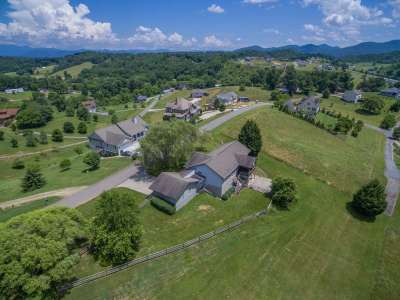Homes for Sale Leicester NC