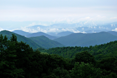 Mount Royal NC – Homes for Sale in Royal Pines & Arden