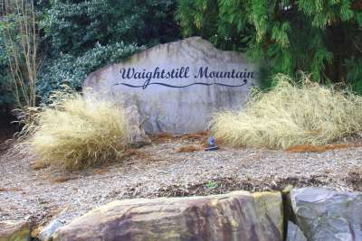 Properties for Sale in Waightstill Mountain