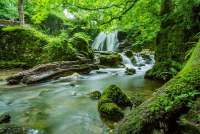 Asheville Homes for Sale with Waterfalls
