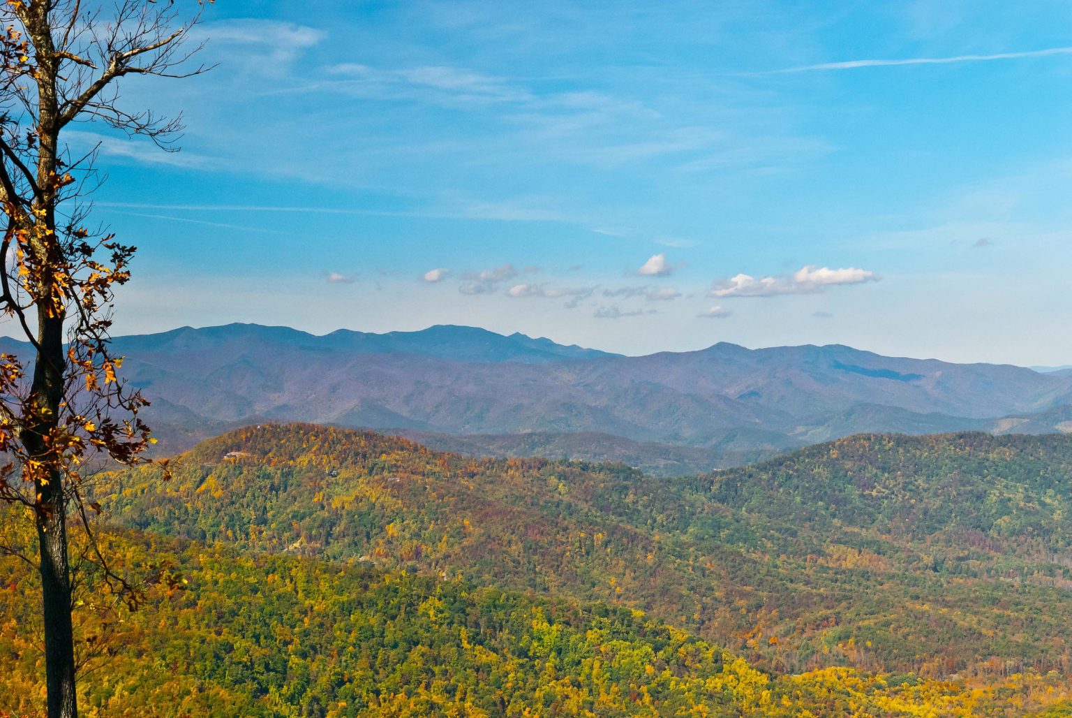 Image of land for sale in Asheville.