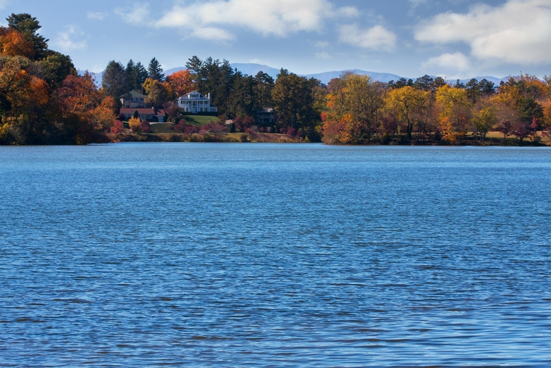 Lake with fall trees in the background