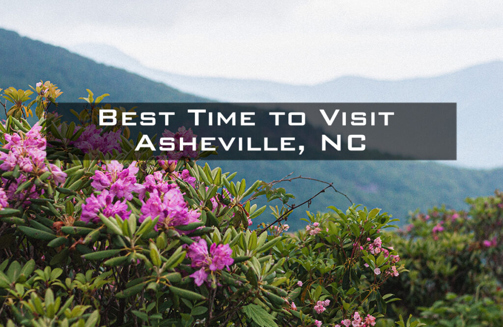 Rhododendrons in bloom with "Best Time to Visit Asheville, NC" overlaid on the image