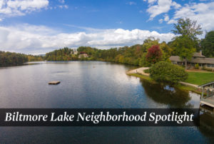 Biltmore Lake Image
