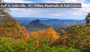Fall in Asheville, NC - Hikes, Festivals, and Fall Colors