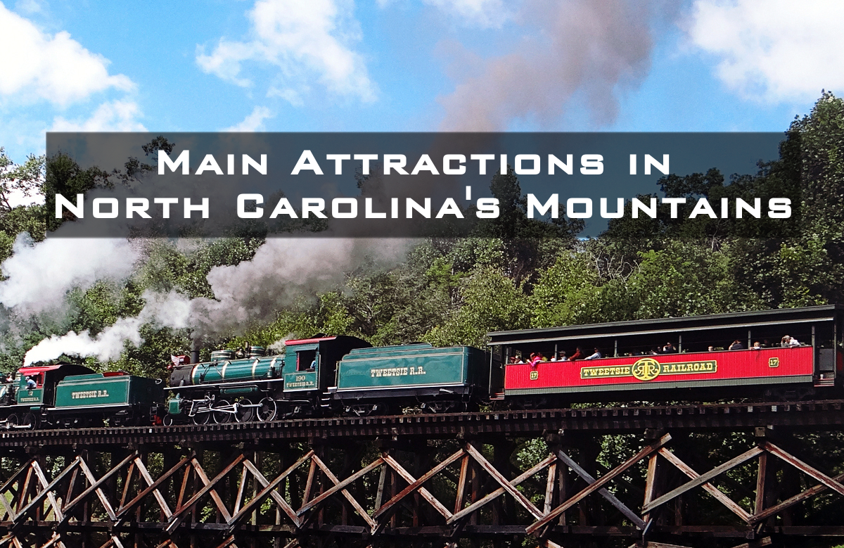 Train going over a suspended wooden bridge
