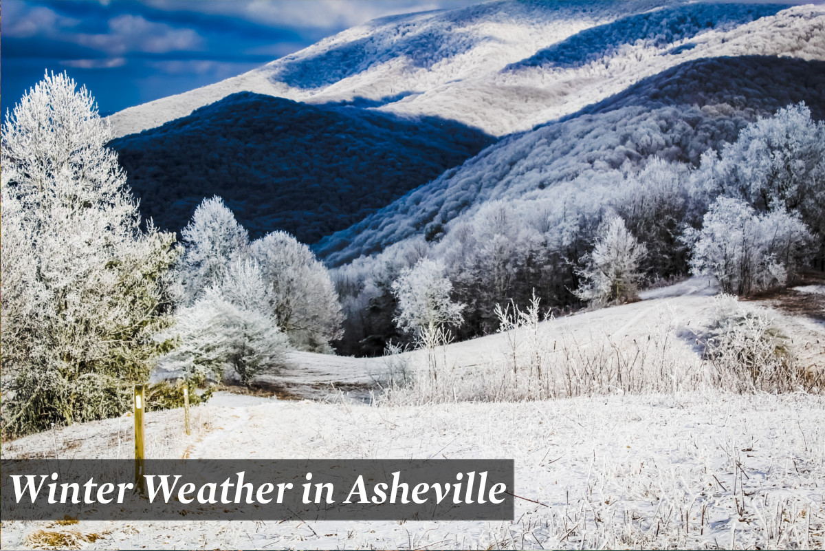 Weather in Asheville, NC The Definitive Guide (Seasons & Months)